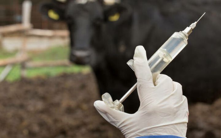 Ilustrasi vaksin. (ditjenpkh.pertanian.go.id)