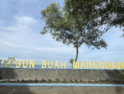 Kunjungan Wisatawan Merosot, Kebun Buah Mangunan Terus Dikaji