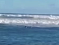 Wisatawan Terseret Rip Current di Pantai Parangtritis, Tim SAR Berhasil Lakukan Penyelamatan