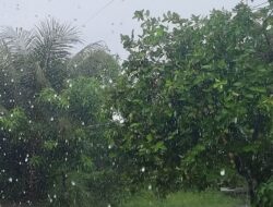 Cuaca Yogyakarta Hari Ini, Jumat 23 Mei 2025: Waspadai Petir di Malam Hari