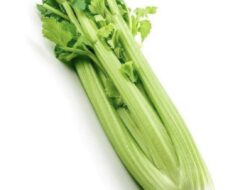 Batang Seledri Ternyata Ampuh Hilangkan Jerawat Secara Alami, Ini Cara Pakainya