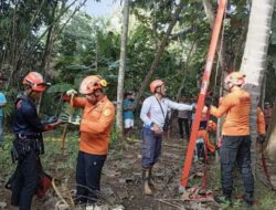 Warga Sleman Ditemukan Meninggal Gantung Diri di Pohon Kelapa, Operasi SAR Berhasil Evakuasi Korban