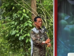 Panen Perdana Kopi Sleman, Sri Sultan Janjikan Bantuan Embung untuk Petani Cangkringan
