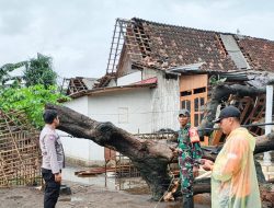 Lima Rumah Rusak Berat, Angin Puting Beliung Terjang Desa Banyuputih Situbondo