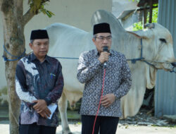 Bantul Terima Bantuan Sapi Kurban dari Presiden Prabowo untuk Idul Adha 1446 H