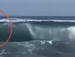Wisatawan Asing Nyaris Terseret Arus di Pantai Parangtritis, Berhasil Diselamatkan Petugas SAR