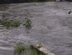 Hujan Deras dan Angin Kencang di DIY, Warga Luka & 90 Rumah Terendam Banjir