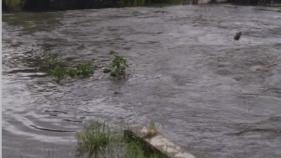 Hujan deras disertai angin kencang di Yogyakarta