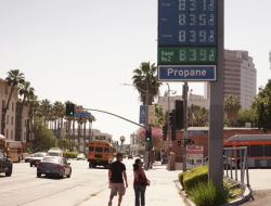 Kepuasan Publik terhadap Donald Trump Anjlok ke Level Terendah Akibat Perang dan Harga BBM